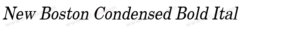 New Boston Condensed Bold Italic字体转换